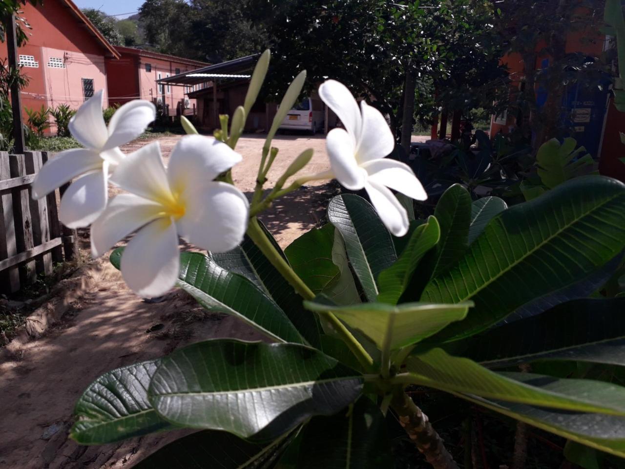 Lanta Lucky House Hotel Ko Lanta Kültér fotó