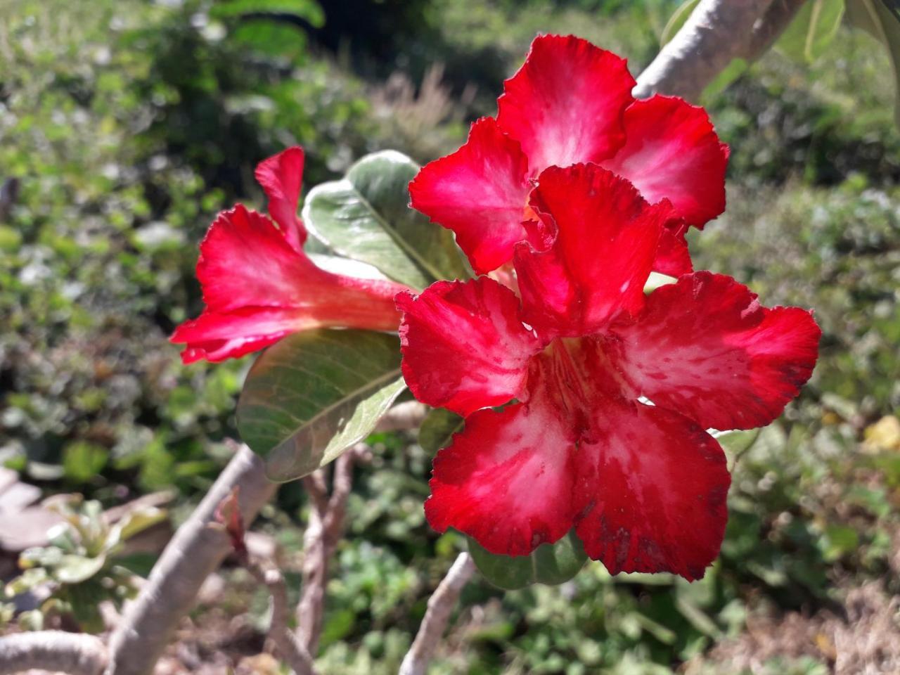 Lanta Lucky House Hotel Ko Lanta Kültér fotó